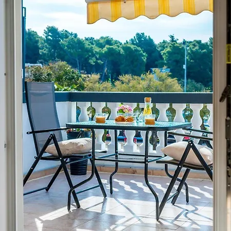 Guest house And Dalmatiko Vodice